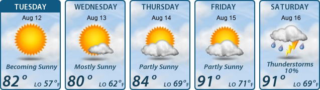 5-Day Forecast