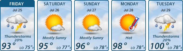 5-Day Forecast