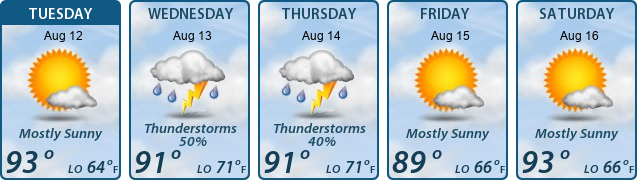 5-Day Forecast