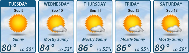 5-Day Forecast
