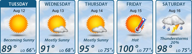 5-Day Forecast