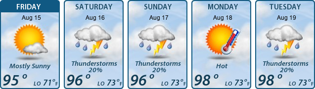 5-Day Forecast